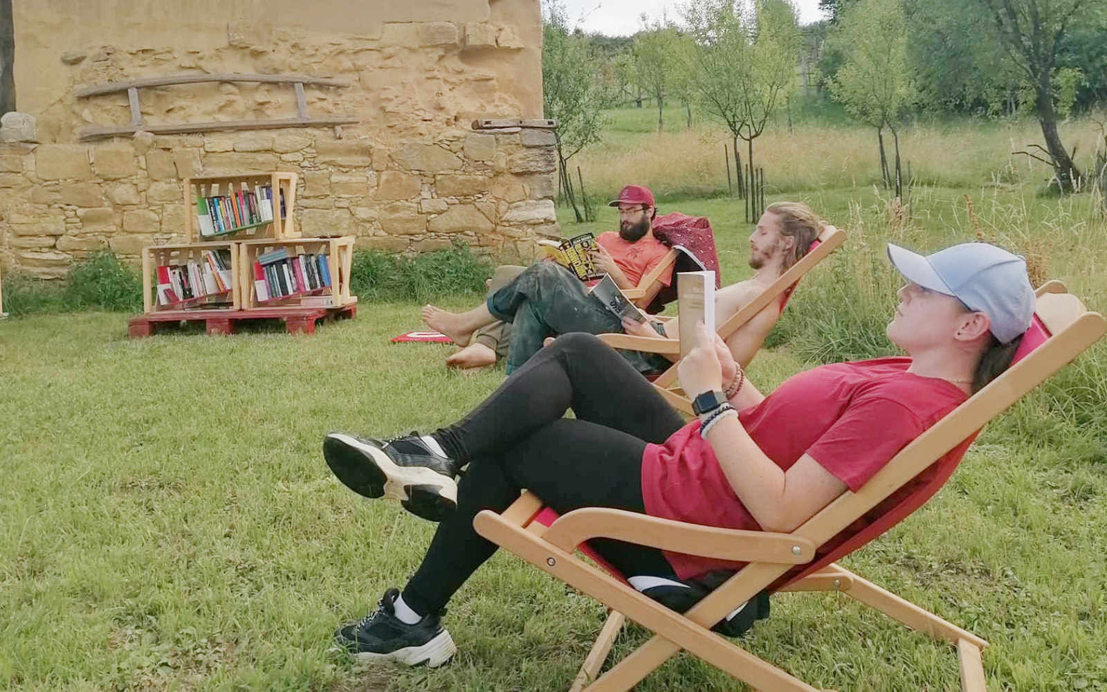 knjiznica jurovski22308