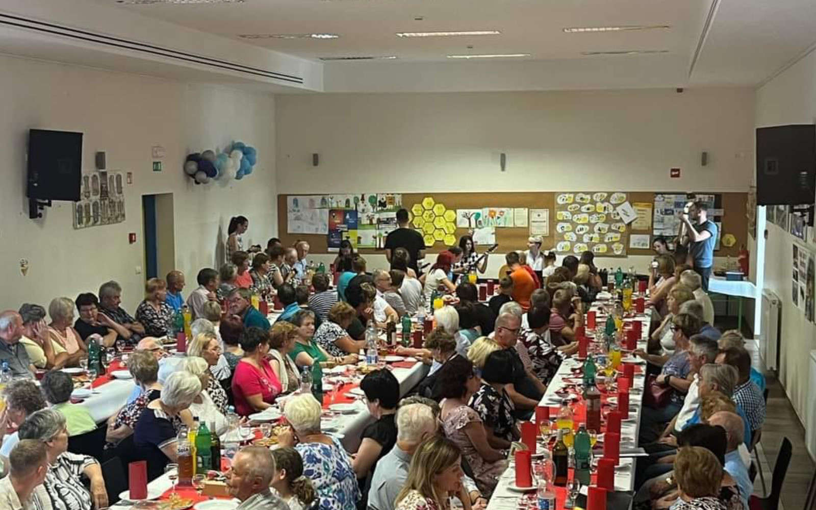 praznovanje vitomarci gospodinje 50