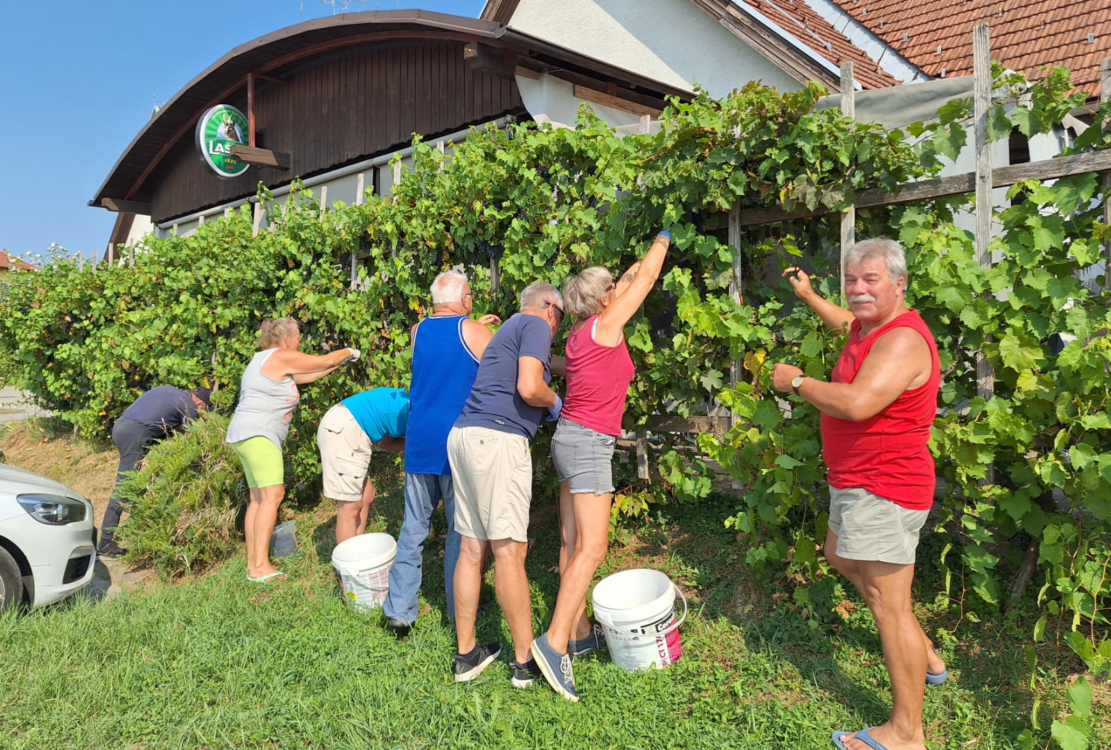 snoopy trgatev 1109 2