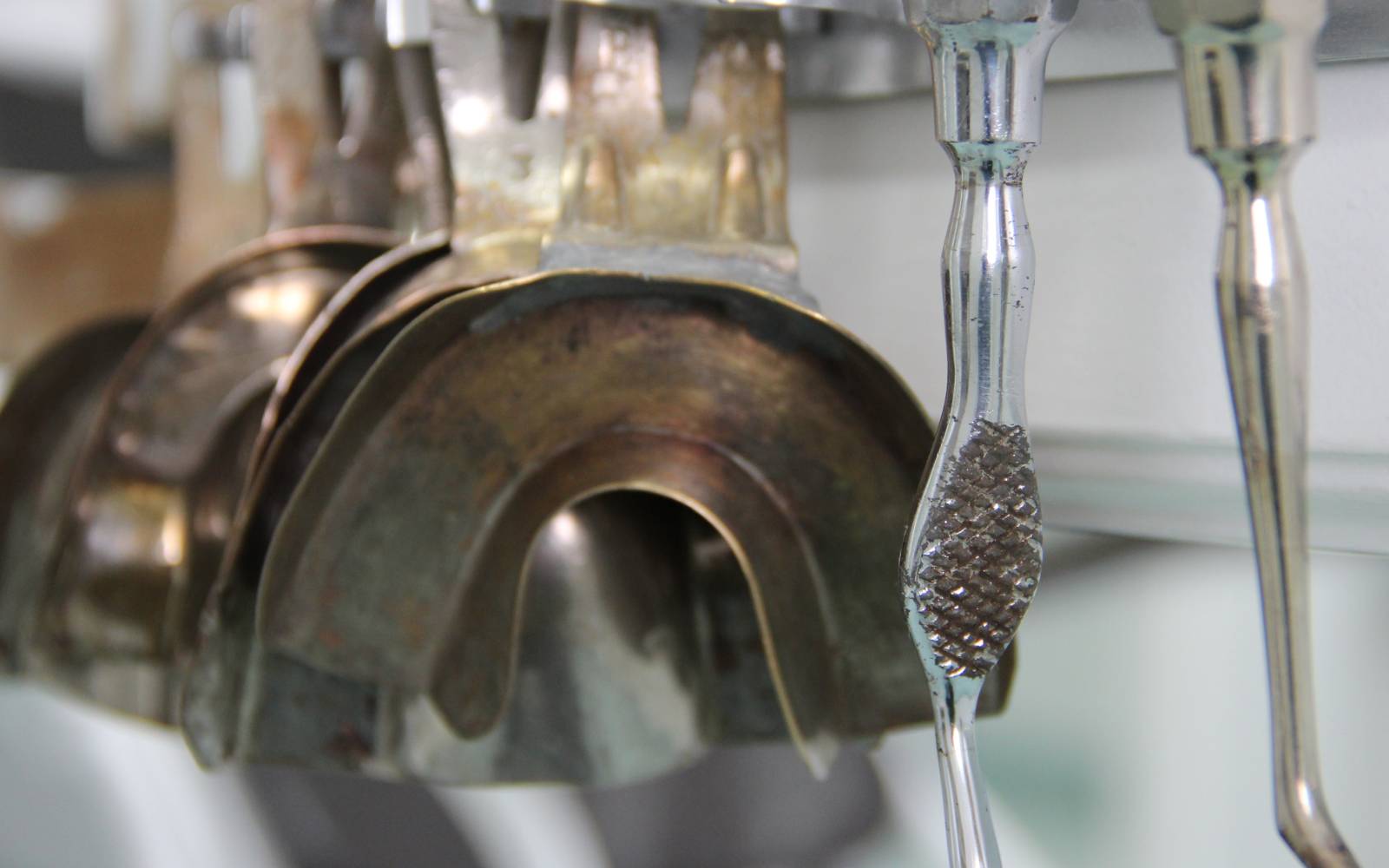 Ana dr. Lesnika 2802 1