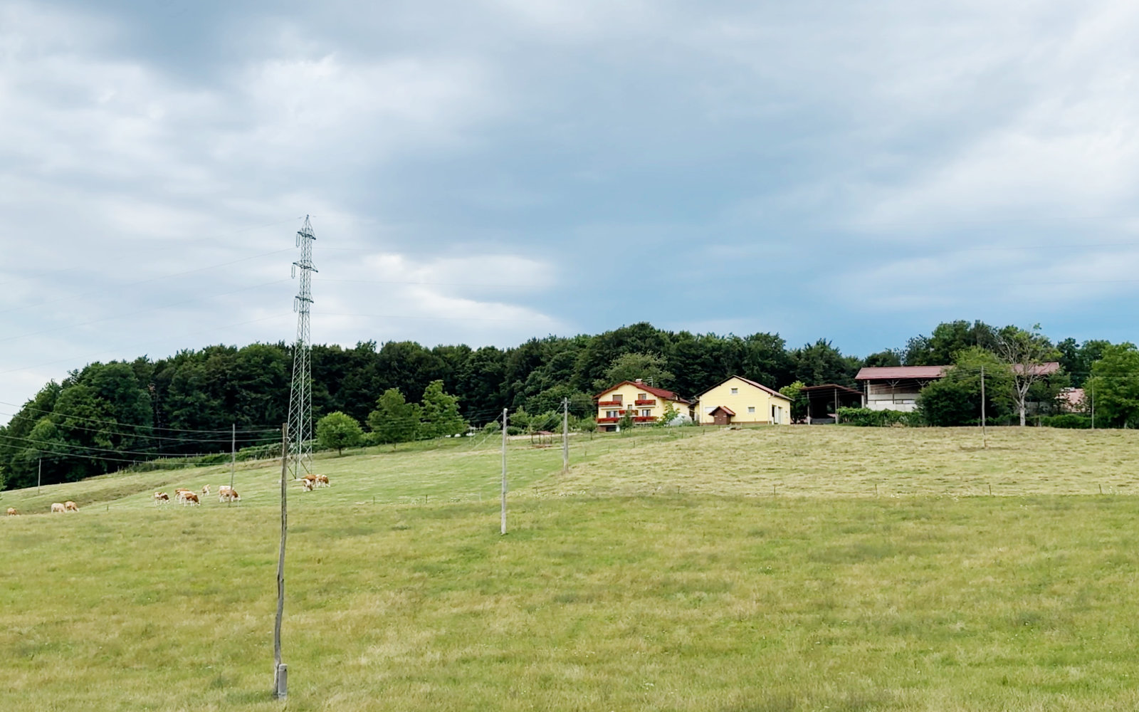 kocbek 2208 2