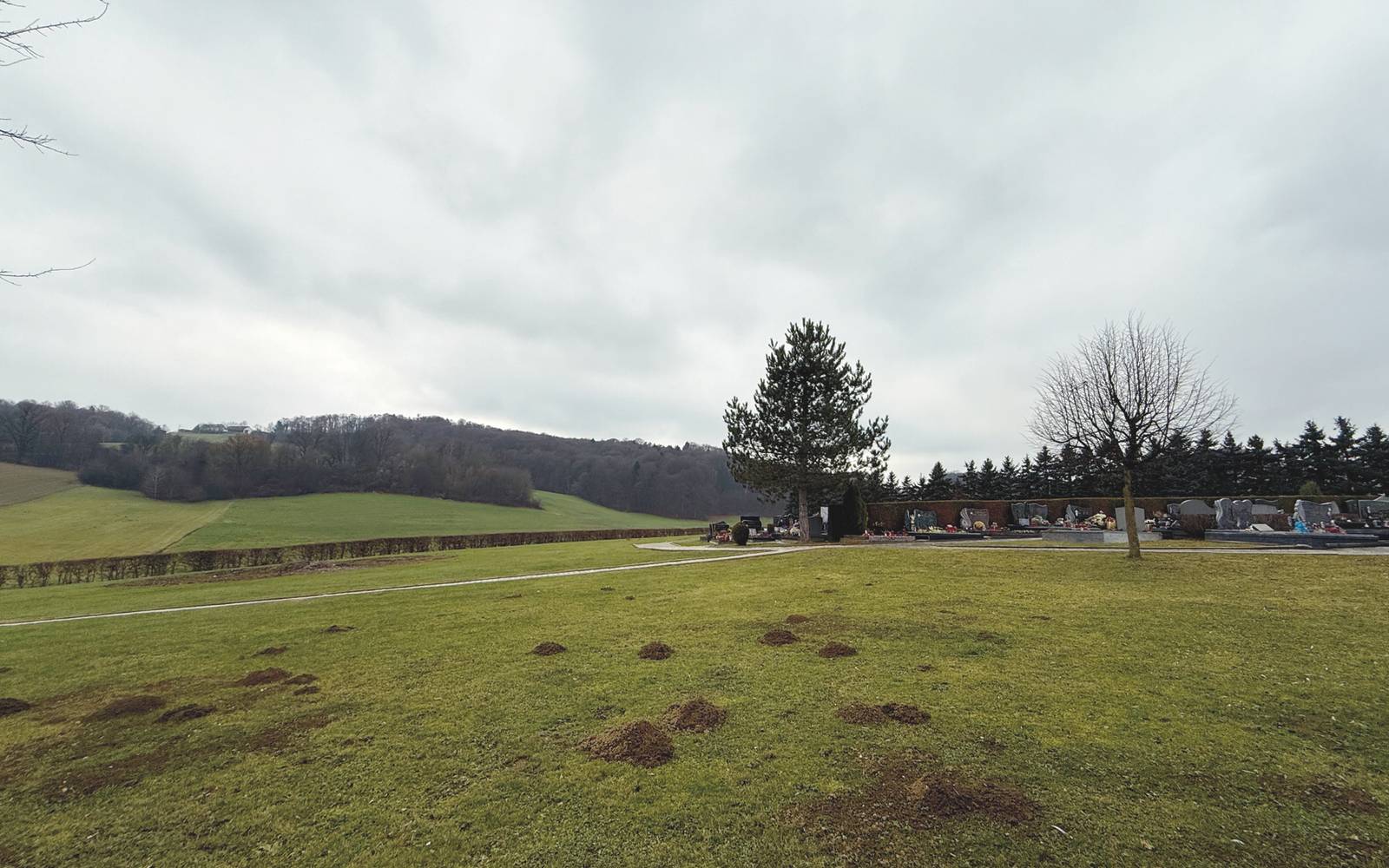 Ureditev prostora za raztros pepela na novem pokopališču