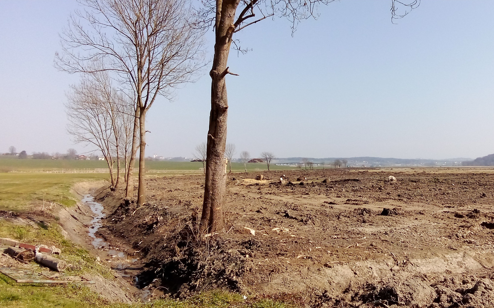 Ni več živine in tudi ne več gmajne