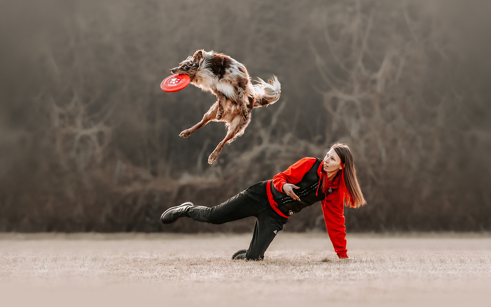 Pasji frizbi: igra, ki povezuje in razveseljuje