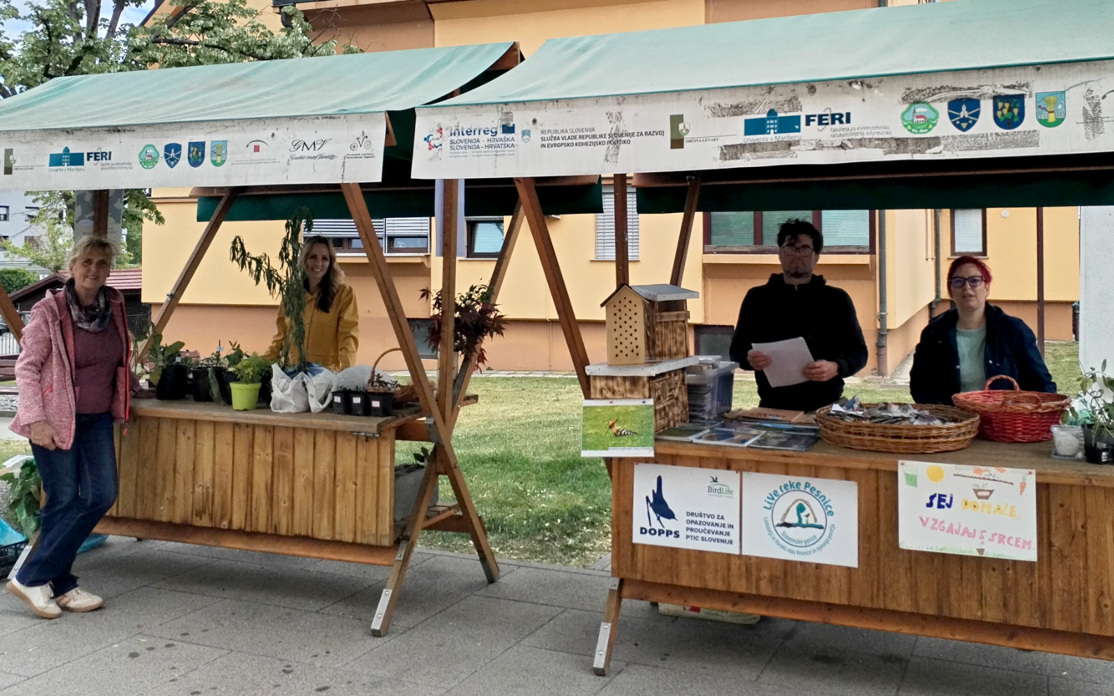 11. Bazar semen in sadik v Lenartu