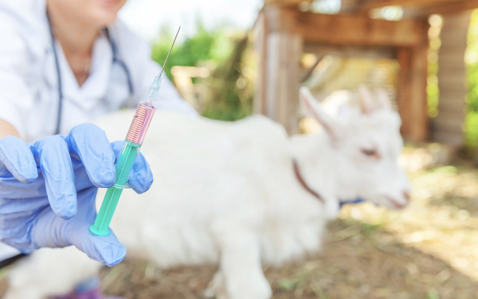 bolezen jezik 0502 3