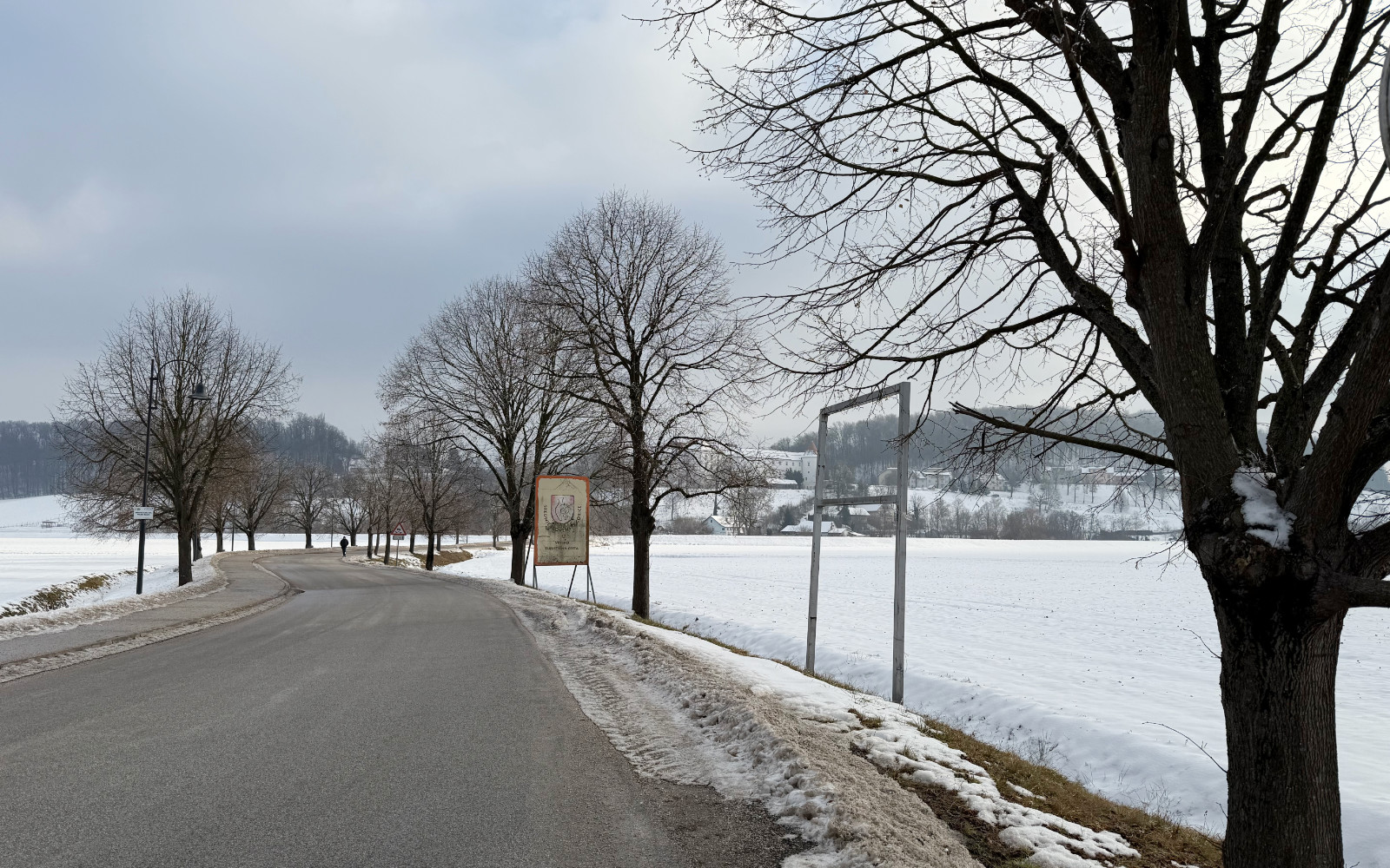 40 let lipovega drevoreda v Hrastovcu