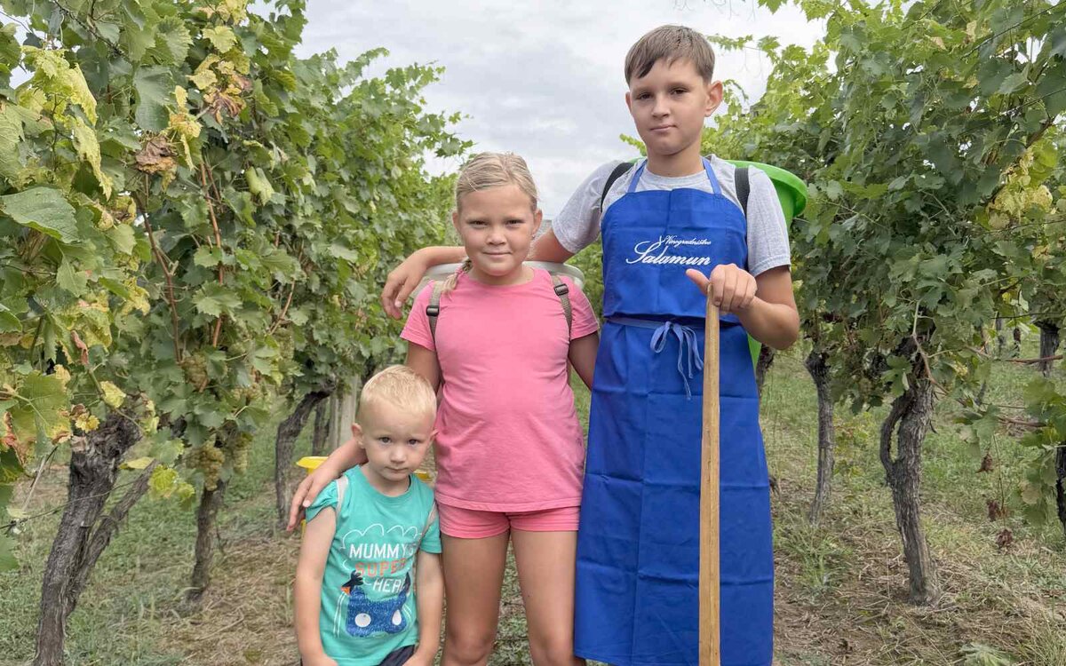 Trgatev v Gočovi v Slovenskih goricah, kjer se je med trsi zbralo 28 ljudi različnih generacij.