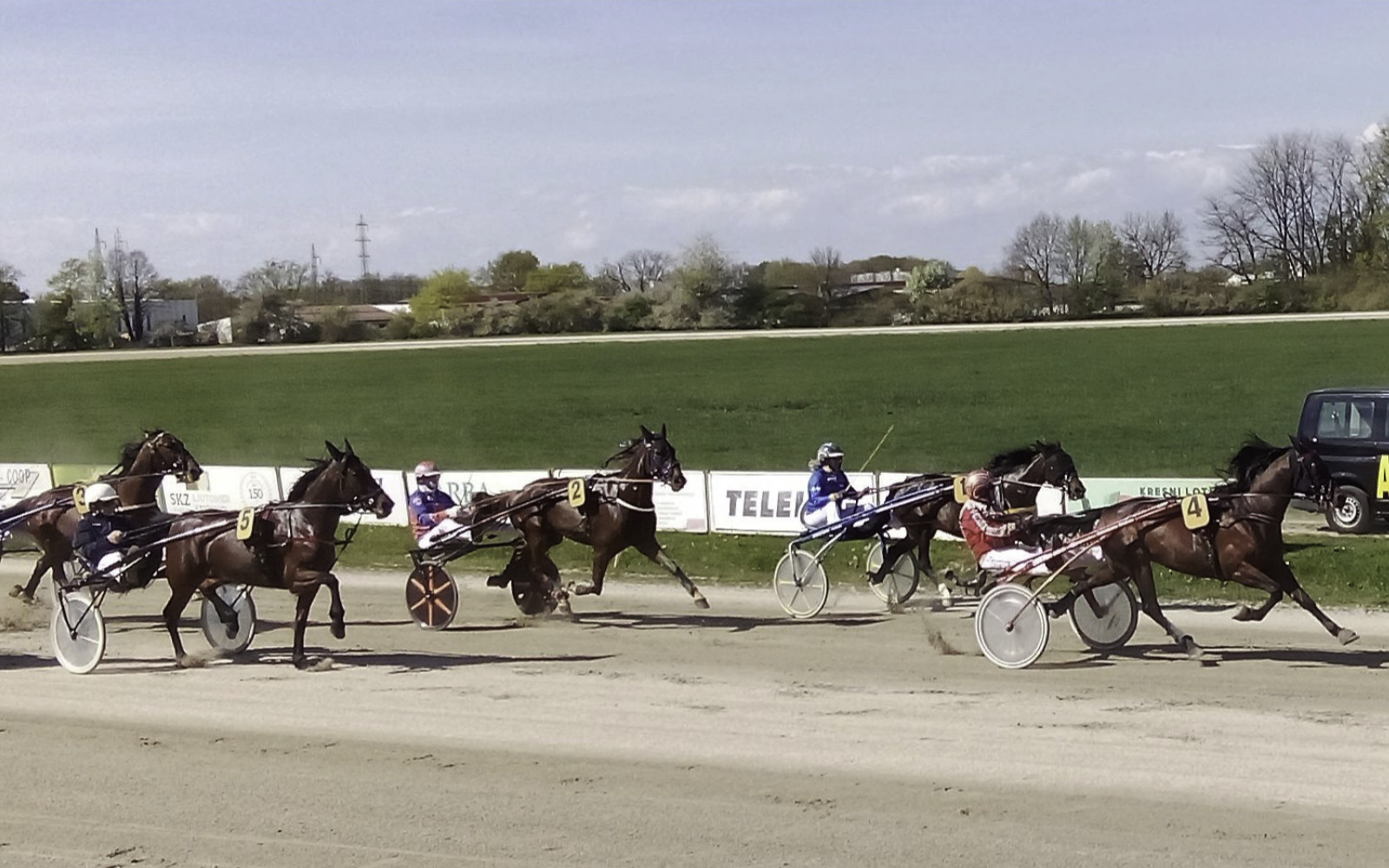 Razpoloženi kasači v Ljutomeru