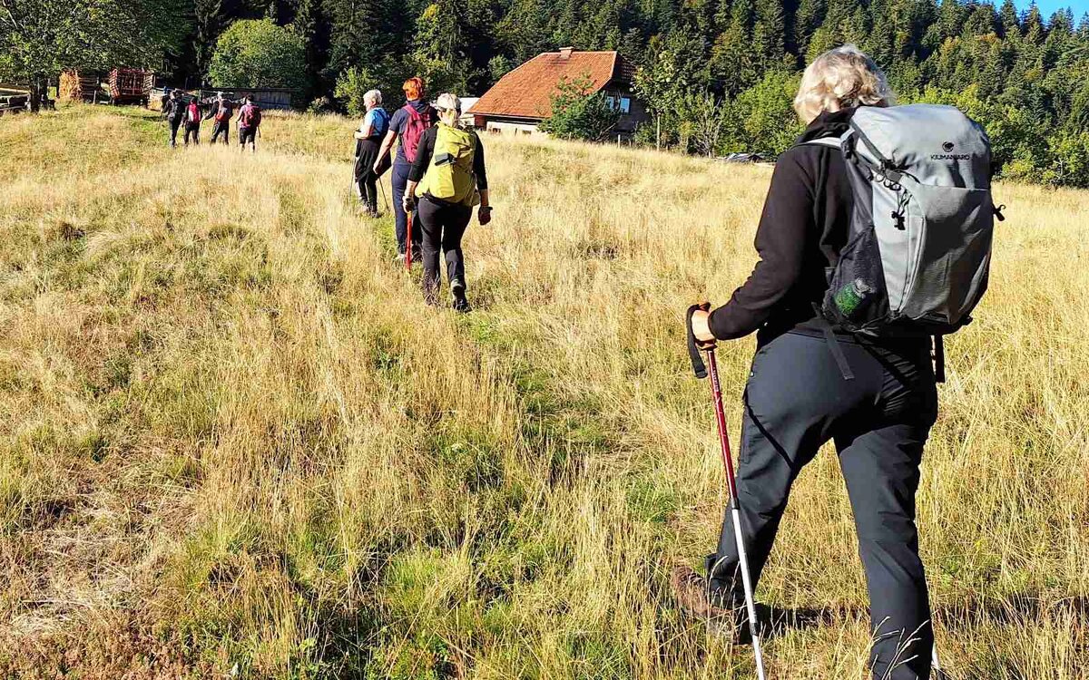 Planinci na Koroški planinski poti