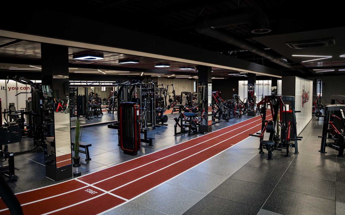 lenart dreamgym 1109 2