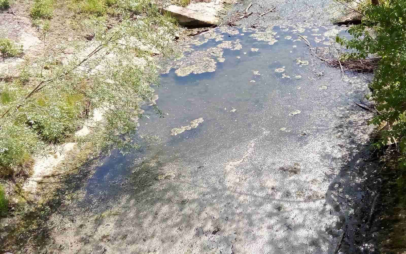 Presahnili vodotoki v osrednjih Slovenskih goricah zaradi suše