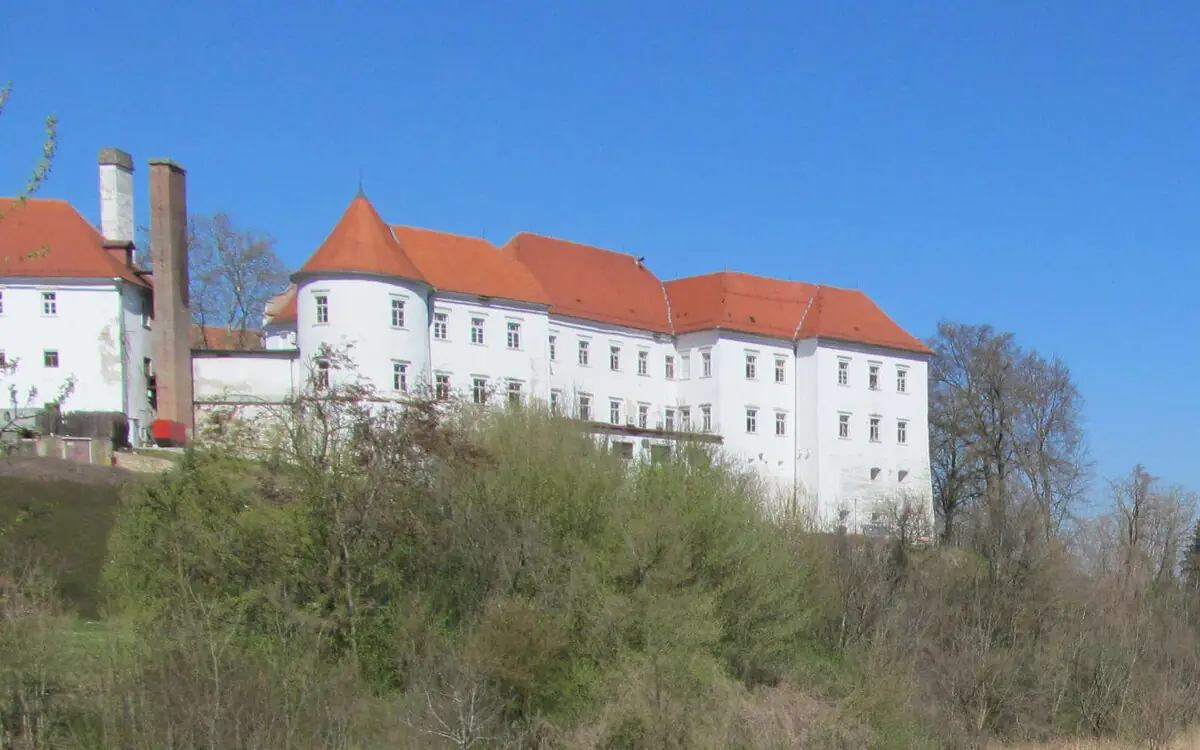 Črni križ pri Hrastovcu v gozdu Črni les.