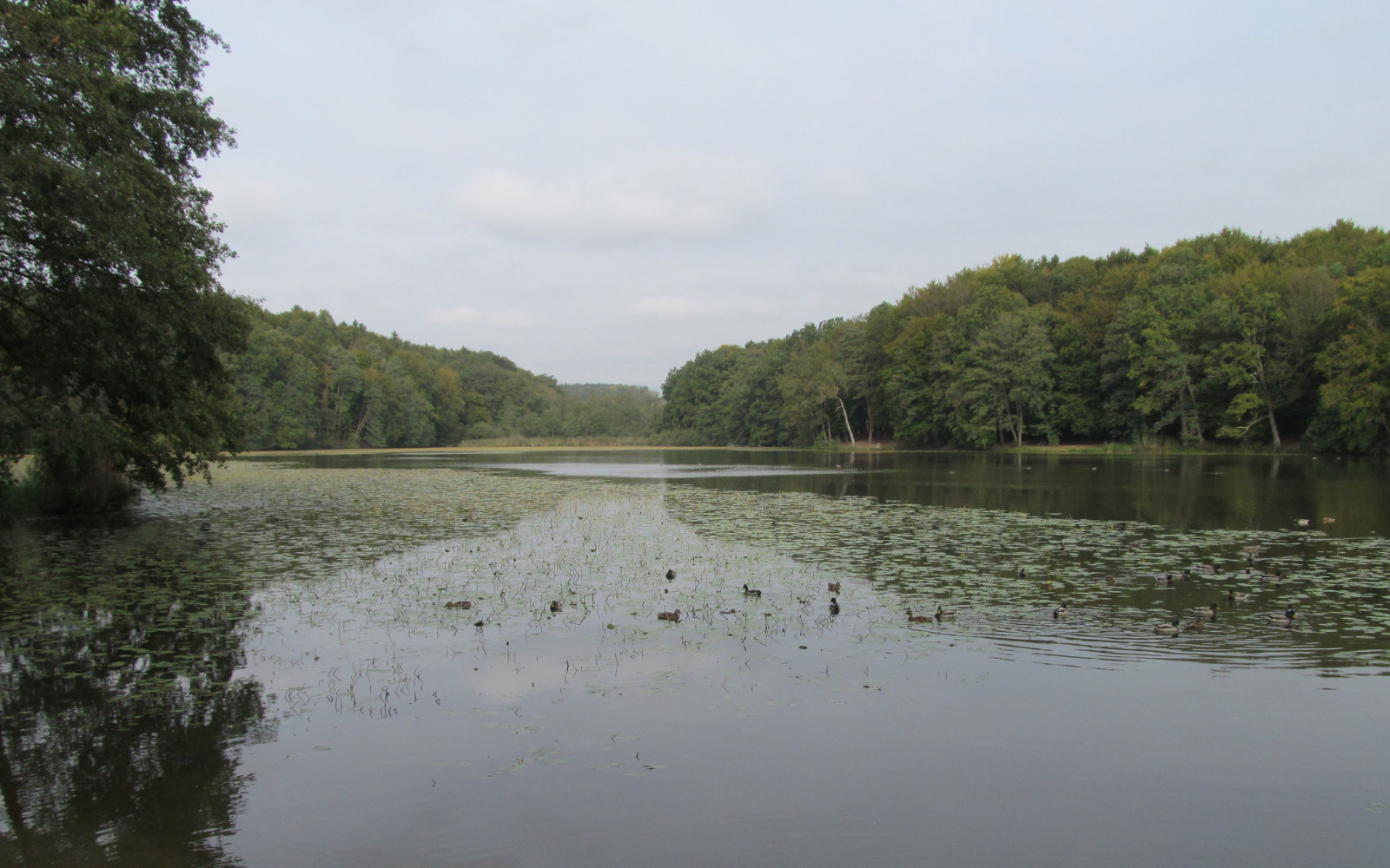 Negovski grad je odprt na stežaj