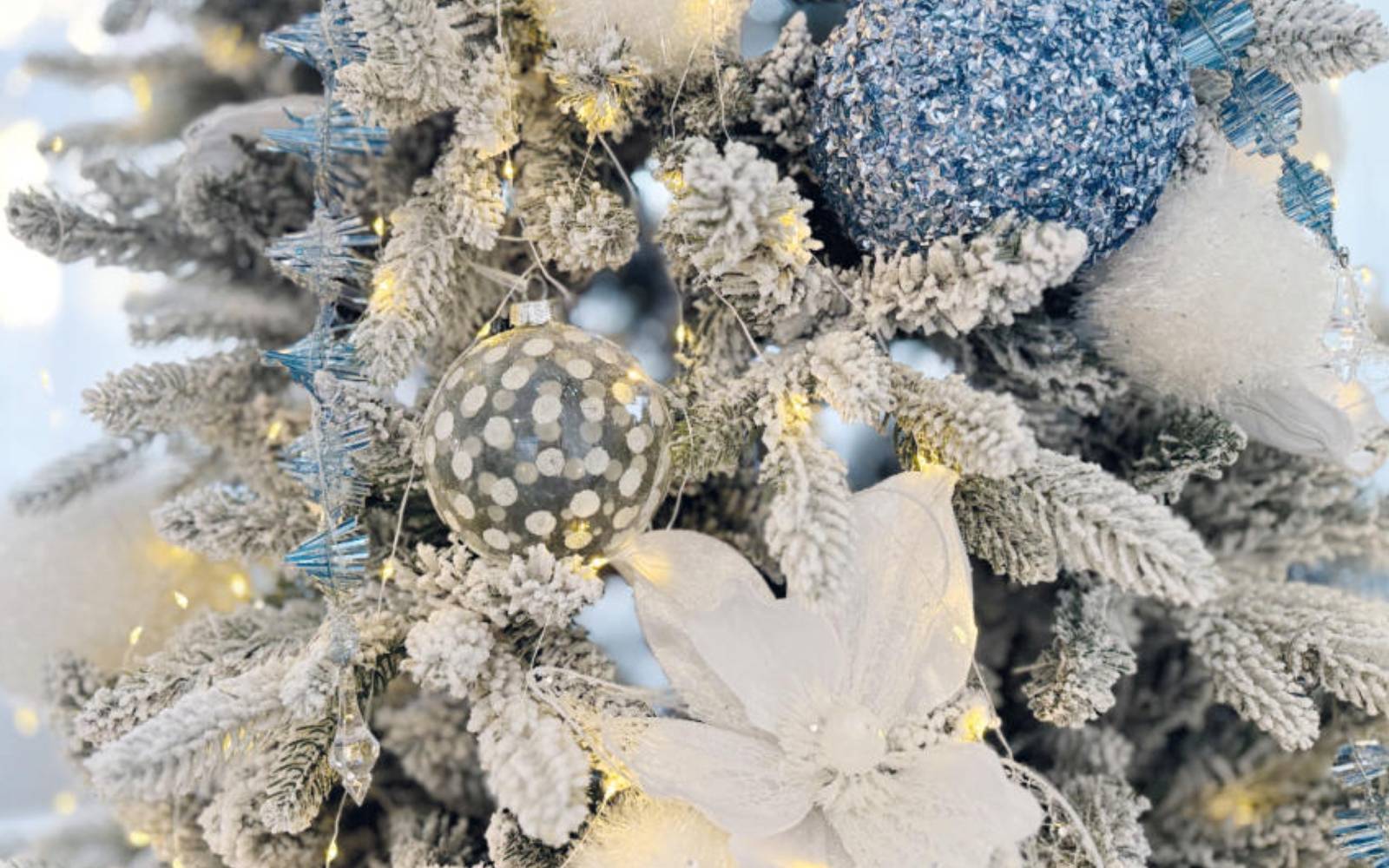 Naj bo leto 2026 polno svetlobe in povezanosti