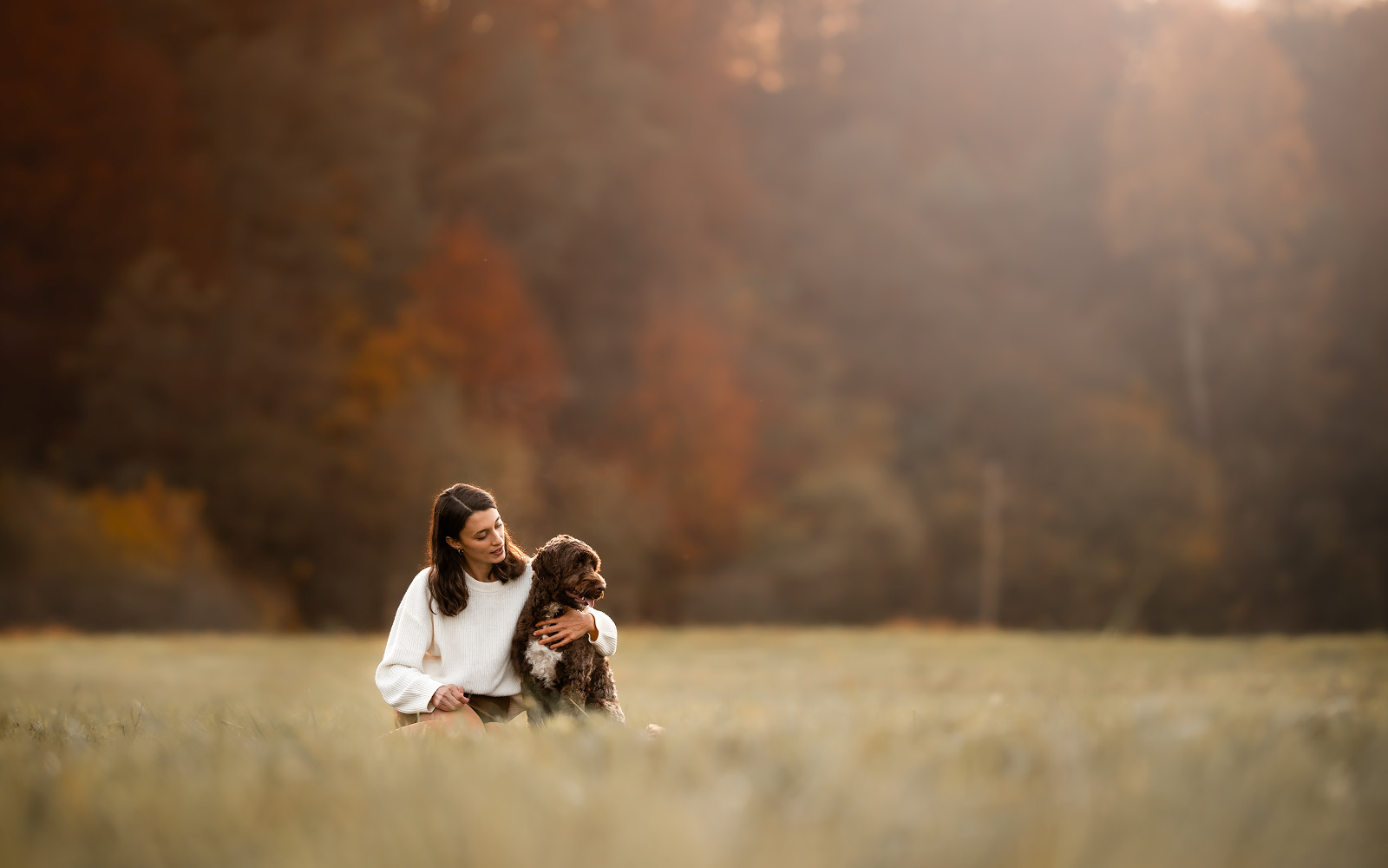 pasja fotografija 1704 9