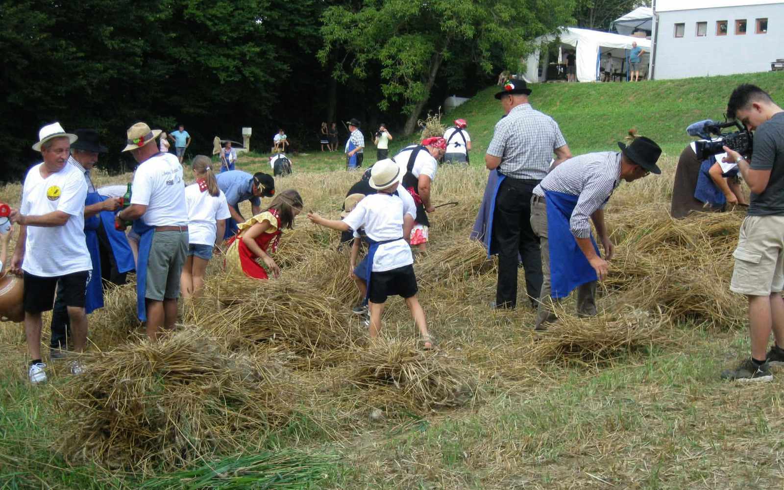 Prikaz tradicionalne žetve in spravila pšenice na 63. prazniku žetve na Polenšaku