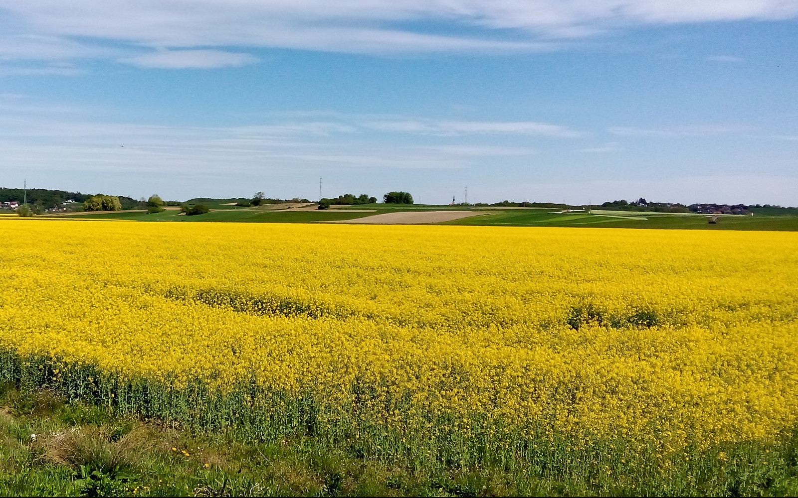 Rumena Pesniška dolina