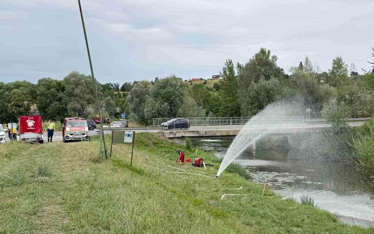 Gasilci in ribiči rešujejo ribe zaradi pomanjkanja kisika v jezeru Pristava pri Lenartu