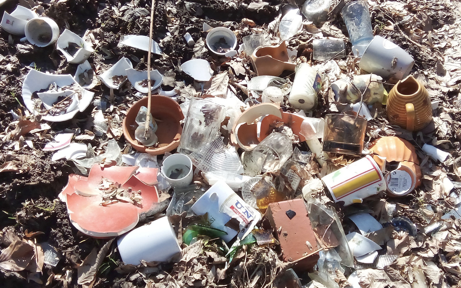 Svinjarija na kvadrat!