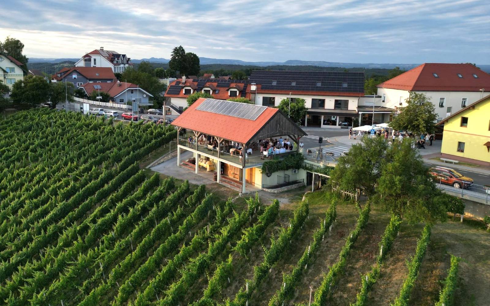 Vinogradi in prizorišče prireditve Vino in kulinarika v Sveti Ani