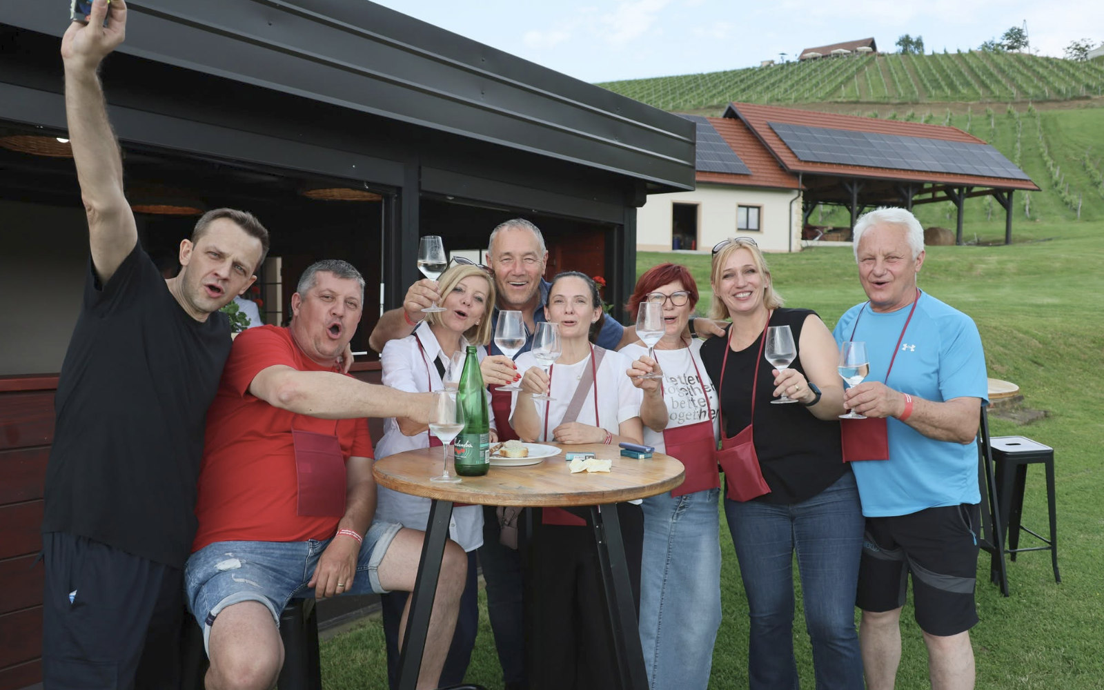 vinogradniki 0906 4