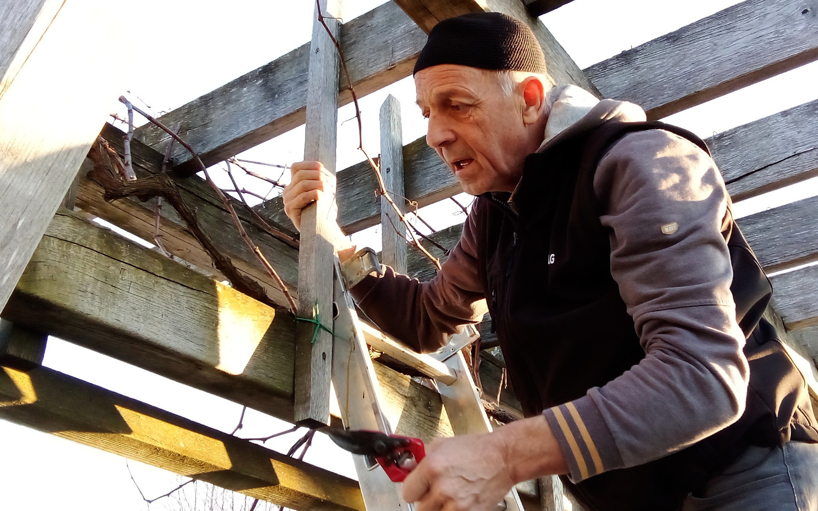 Maistrove obletnice na Zavrhu