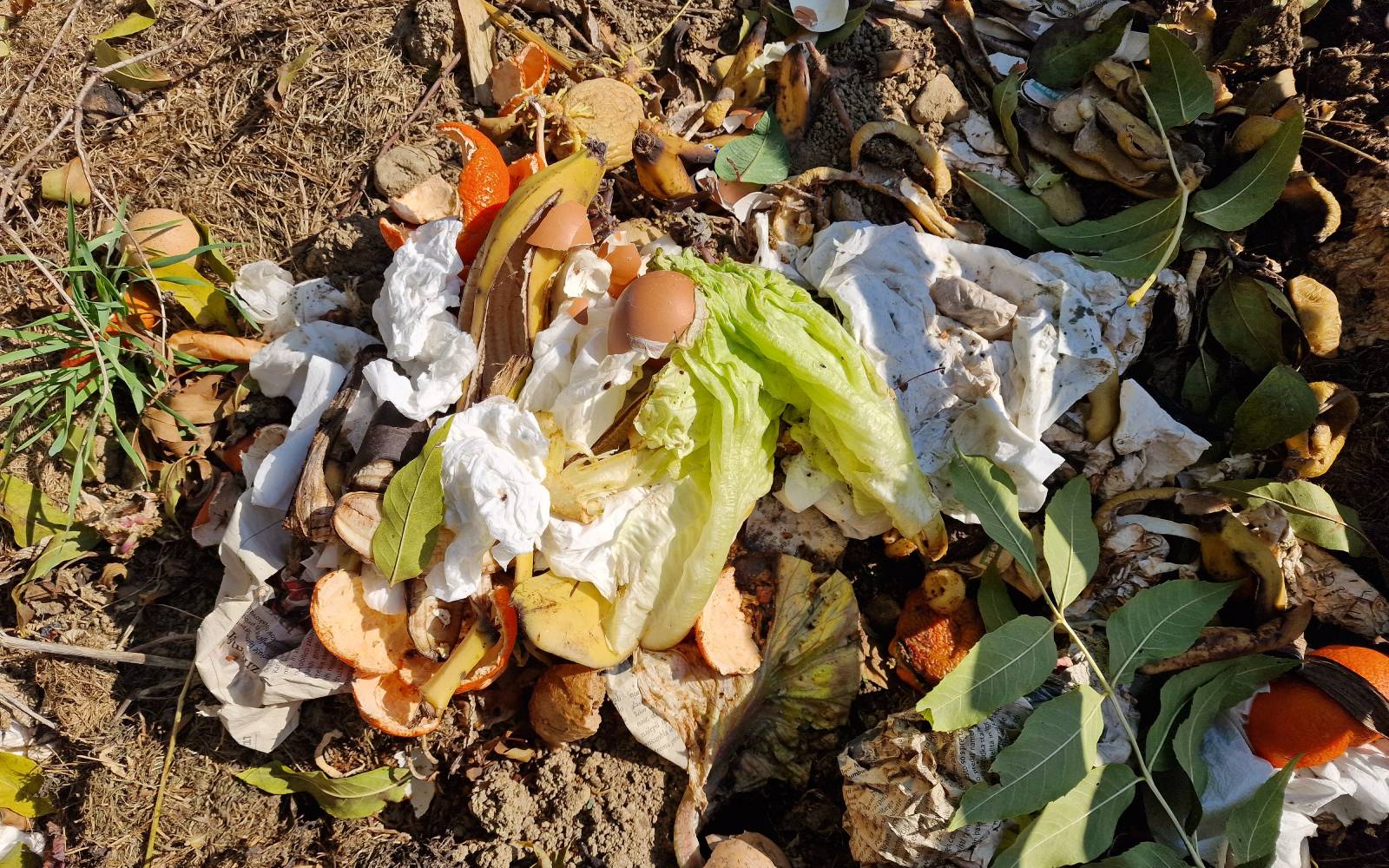 Odnos do hrane še vedno premalo spoštljiv