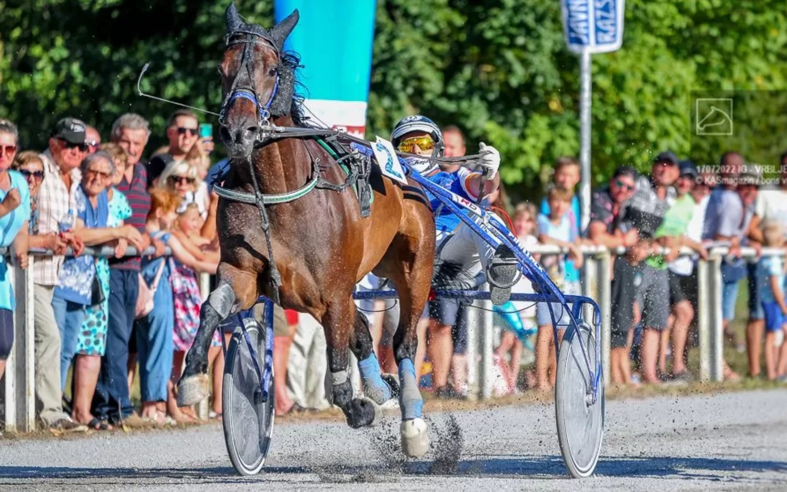 Krack du Clocher suvereno brani lenarške barve. Foto: arhiv KZS