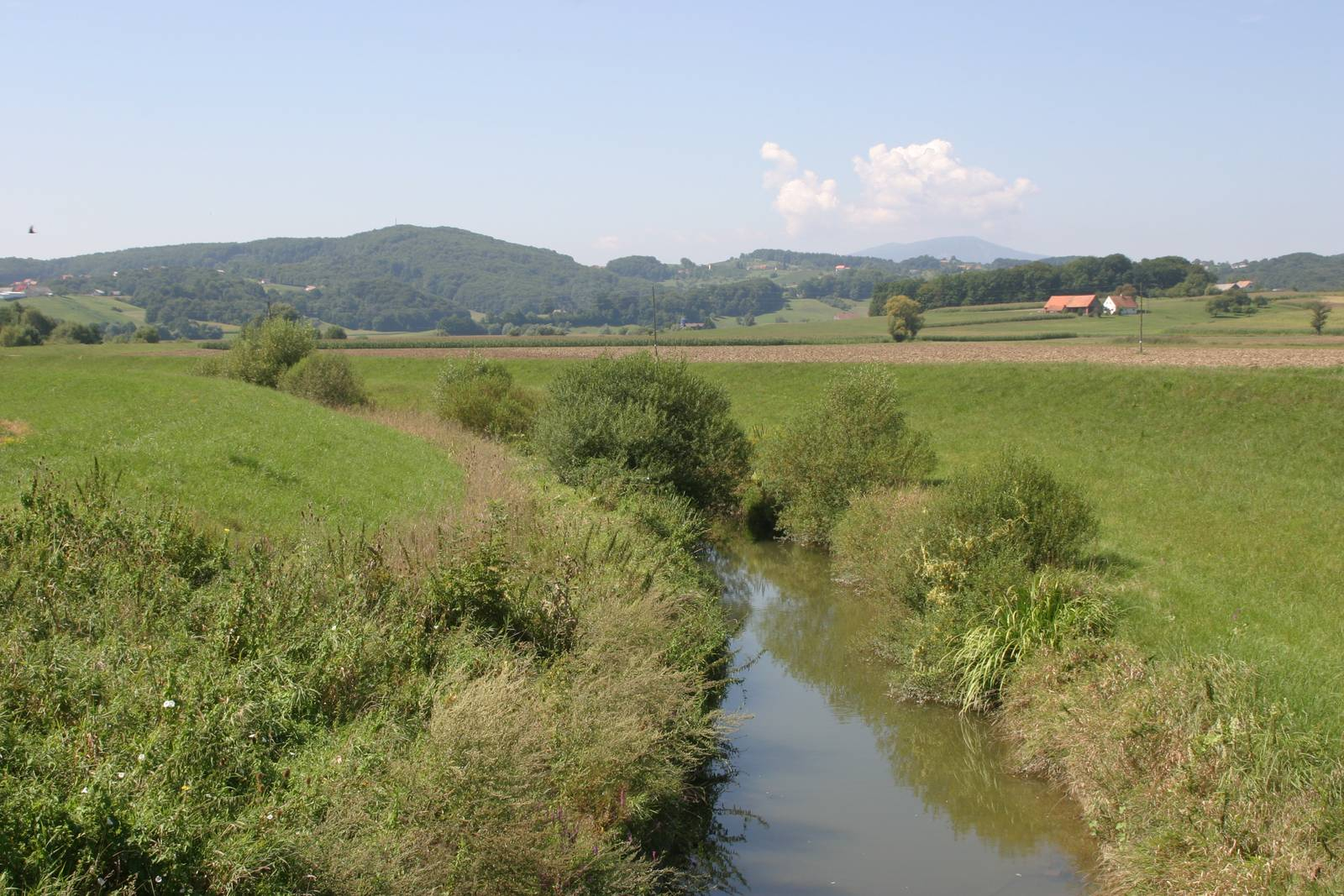 Reka Pesnica je osrednji slovenskogoriški vodotok in si zasluži posebno skrb. Foto Marjan Toš.