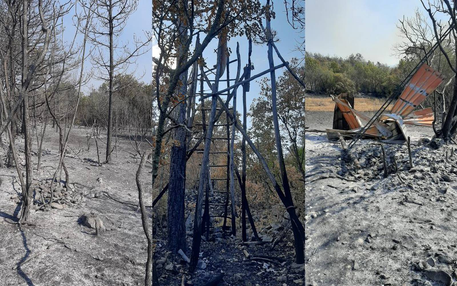 Požgana in neuporabna lovska preža. Foto: arhiv LD.