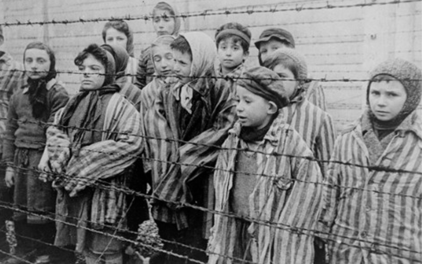 Otroci v Auschwitzu. Foto: arhiv muzeja Yad Vashem