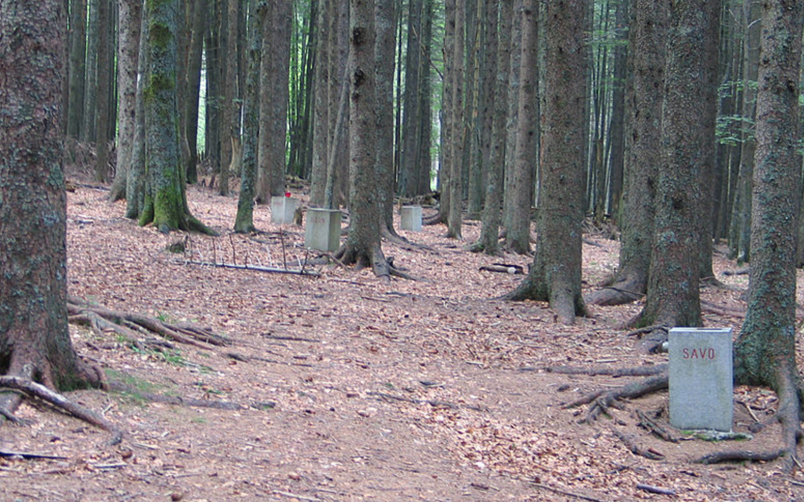 Prizorišče zadnjega boja Pohorskega bataljona pri Treh žebljih na Osankarici. Foto: arhiv