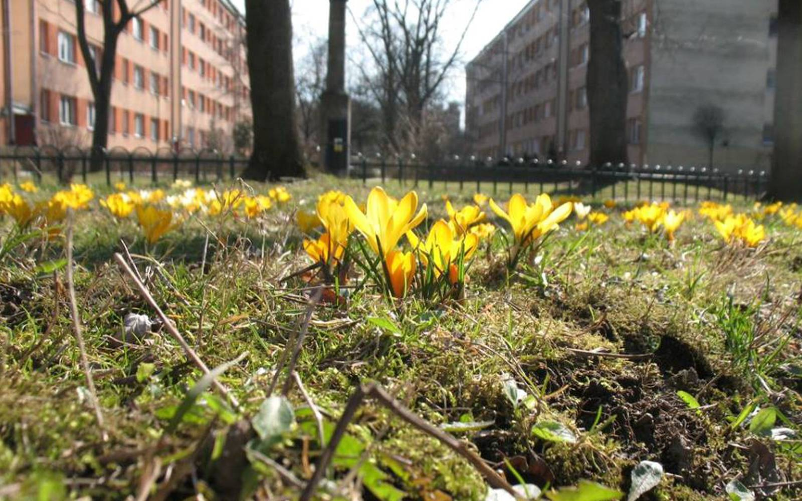 Mladi se spominjajo otrok, ki so umrli v holokavstu. Foto: arhiv CJKD Sinagoga Maribor.