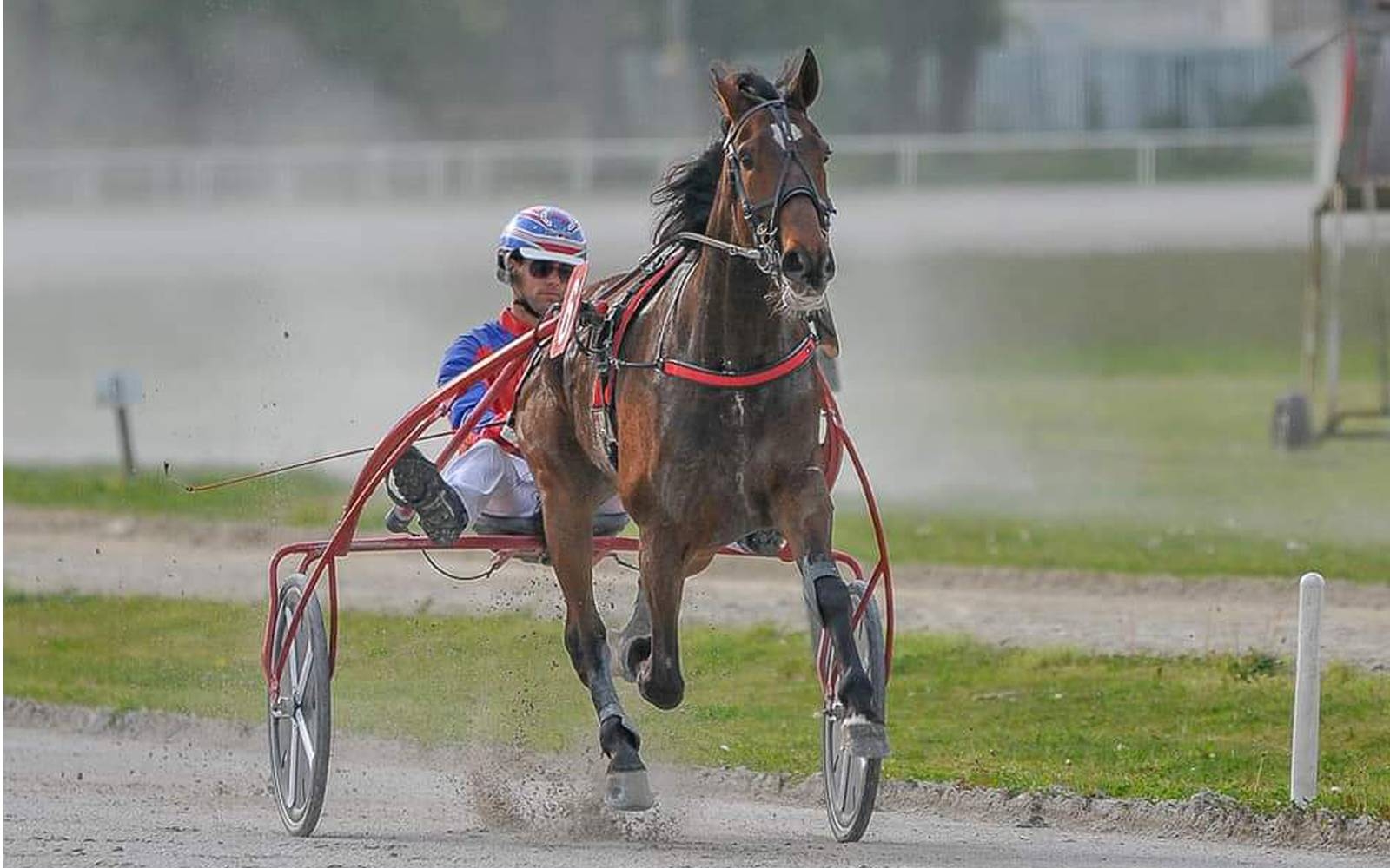 Zmagovalec dirke za pokal mesta Ljubljane Premal MS. Foto: arhiv KZS.