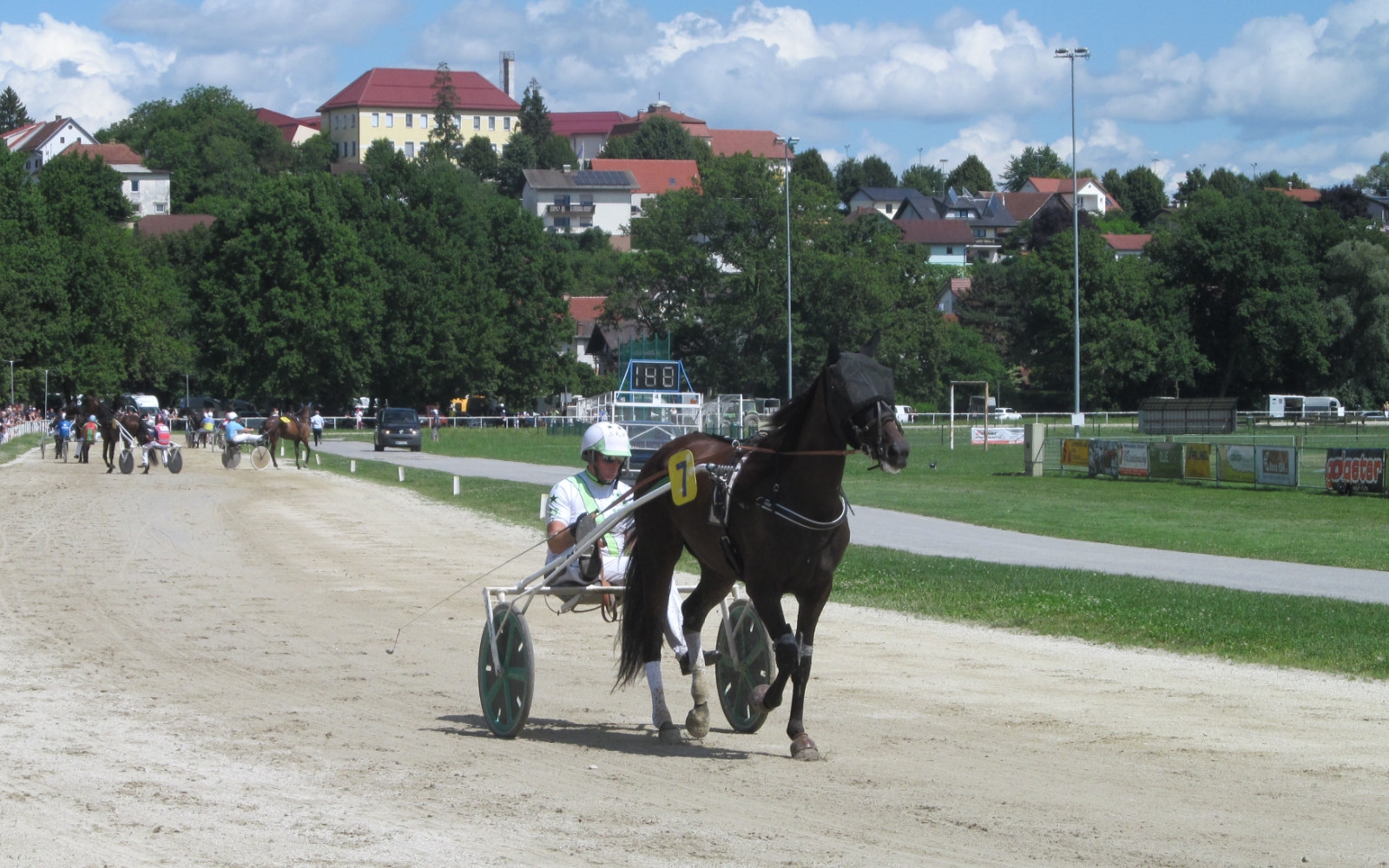 Na lenarškem hipodromu Polena so številni gledalci spet spremljali zanimive kasaške dirke. Foto: Marjan Toš