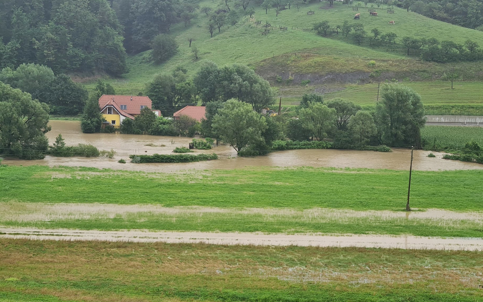 Pesnica že narašča (fotografija iz Kungote, Malb Predan)
