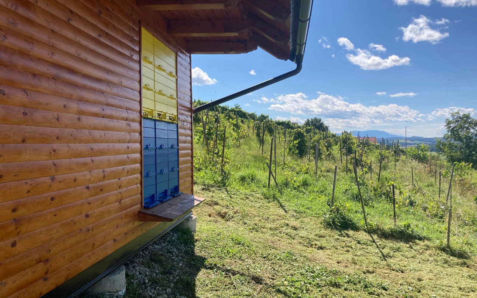 Dan odprtih vrat Čebelarskega društva Vitomarci bo potekal pri društvenem čebelarskem domu. Foto: arhiv društva