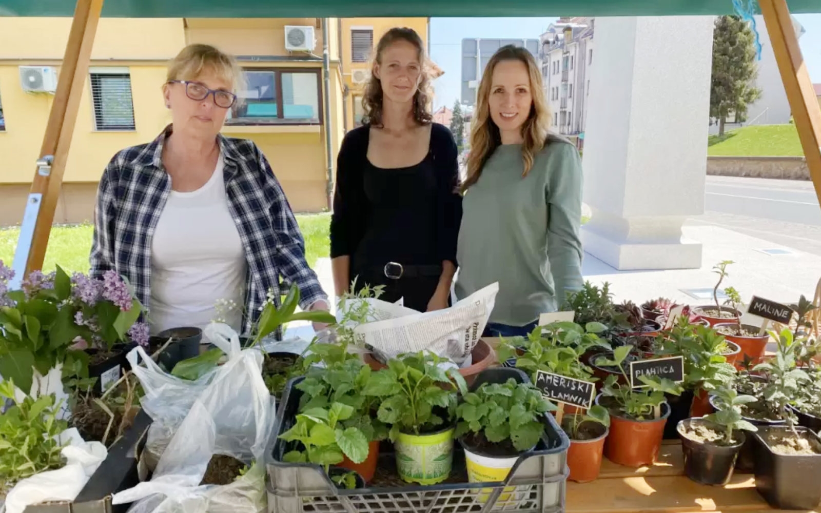 Izmenjevalke semen in sadik v preteklem letu