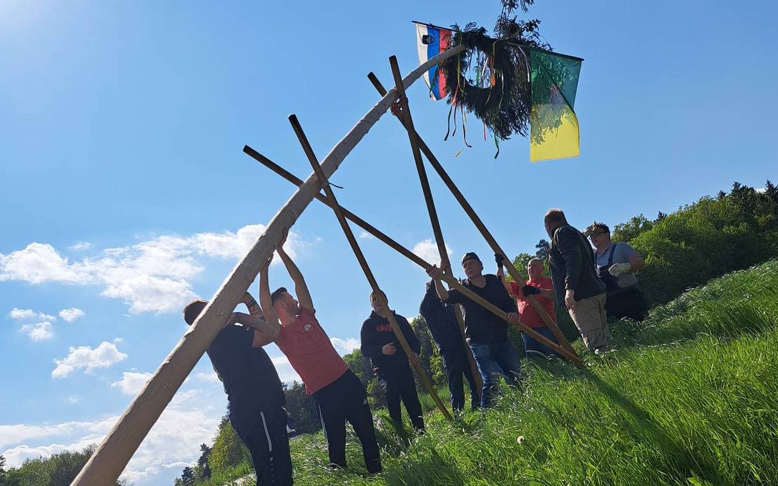 Postavitev majskega drevesa v Sovjaku. Foto: arhiv družine Kuhar.