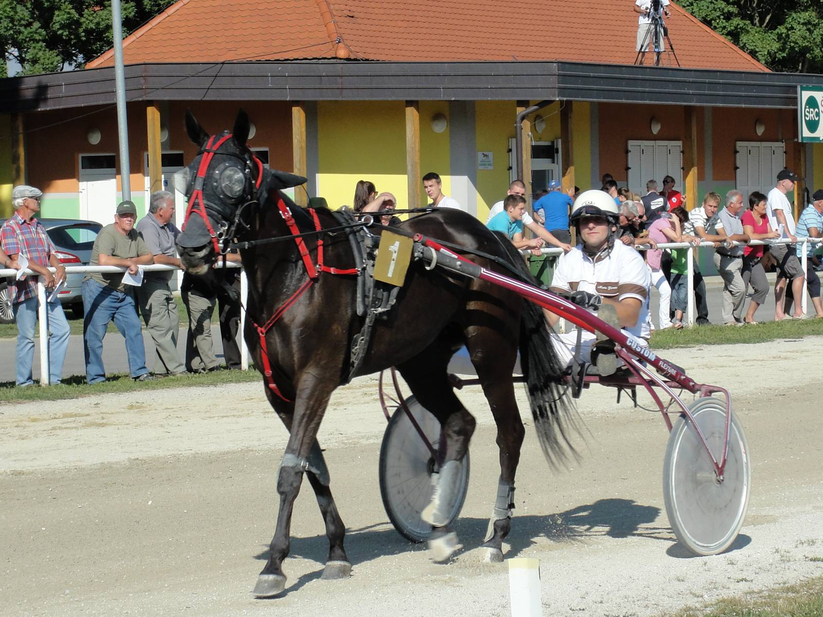 Utrip iz lenarškega hipodroma Polena. Foto Marjan Toš.