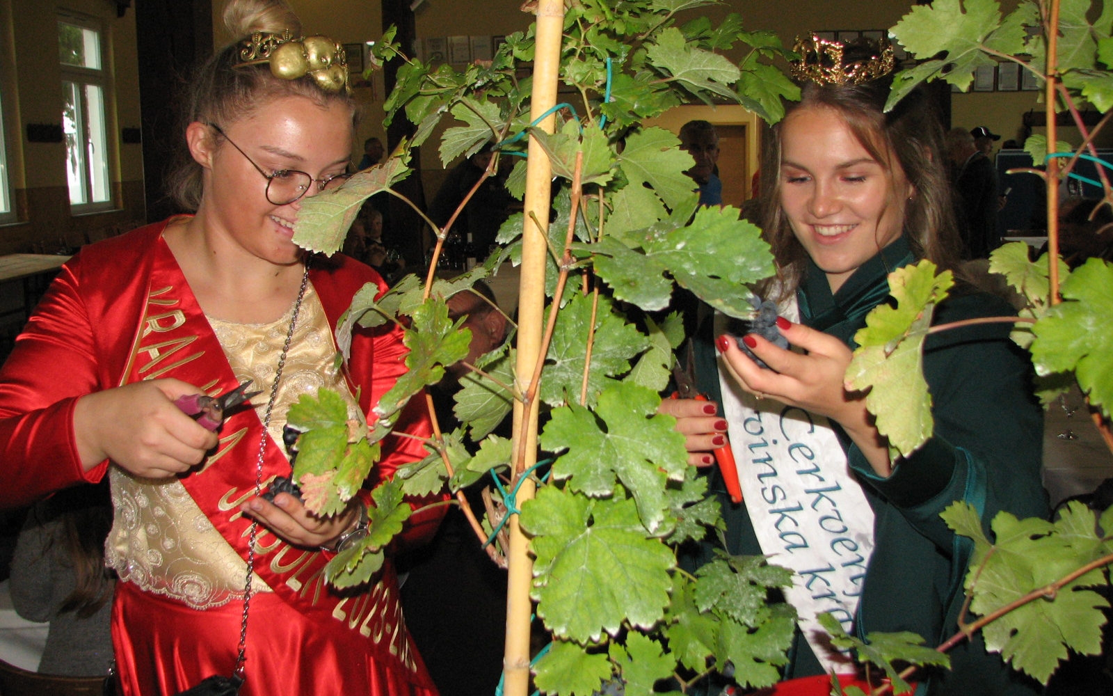 Foto: Franc Bratkovič