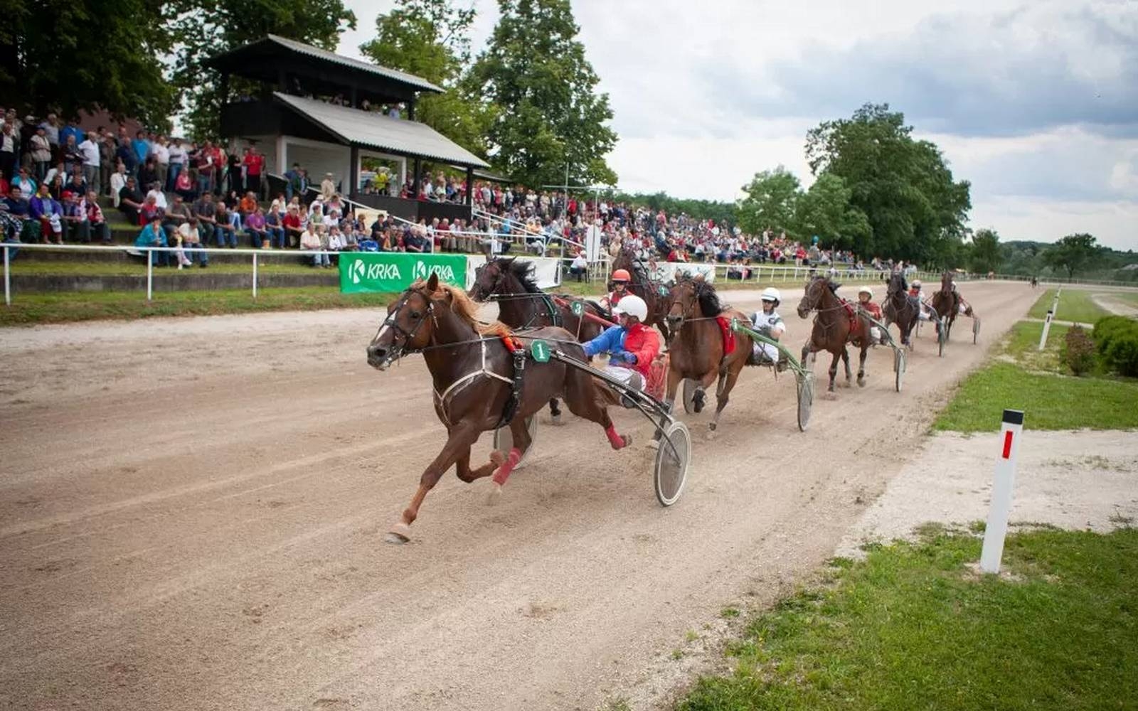 Prve letošnje kasaške dirke v Šentjerneju. Foto: Marjan Toš.