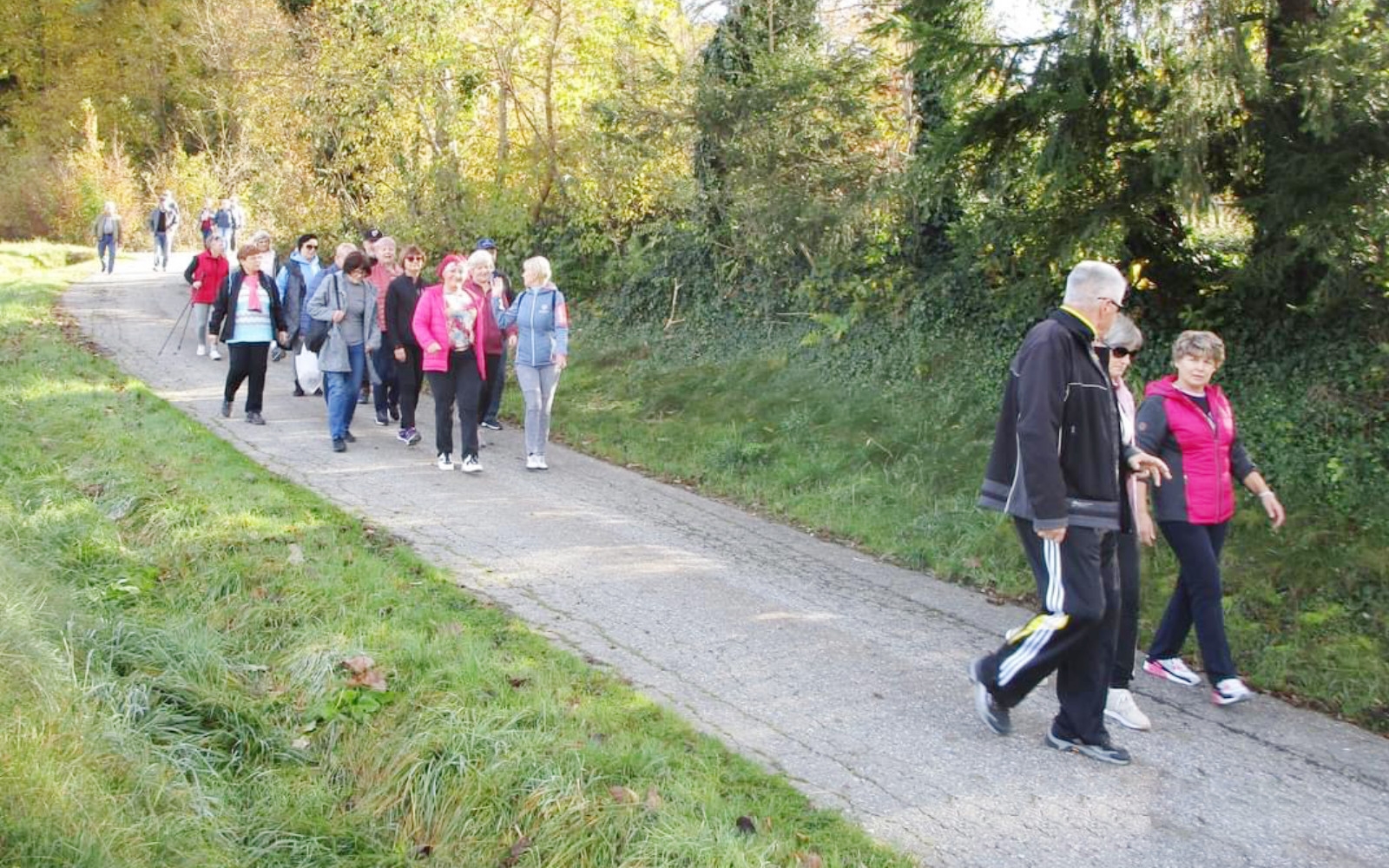Pohod je bil ne le telesno, temveč tudi družabno doživetje, ki je povezalo člane DU Benedikt v prijetnem vzdušju. Foto: arhiv društva