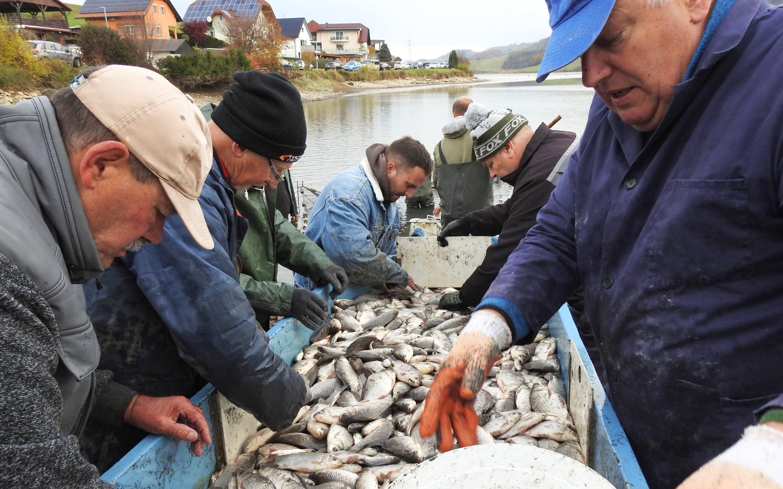 Babušk v zgornjem Perniškem jezeru ni več. Foto: Marjan Toš