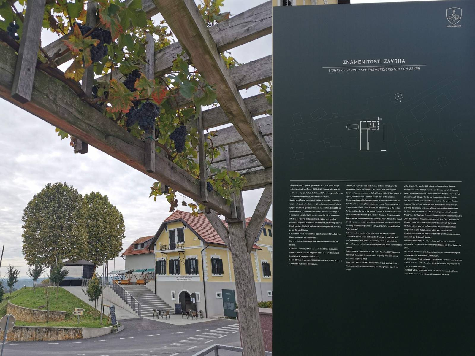 »Sobivanje« potomke stare trte in Štupičeve vile z Maistrovo razstavo na Zavrhu. Maistrov Zavrh je končno »dočakal« še turistično informativno tablo. Foto Marjan Toš/