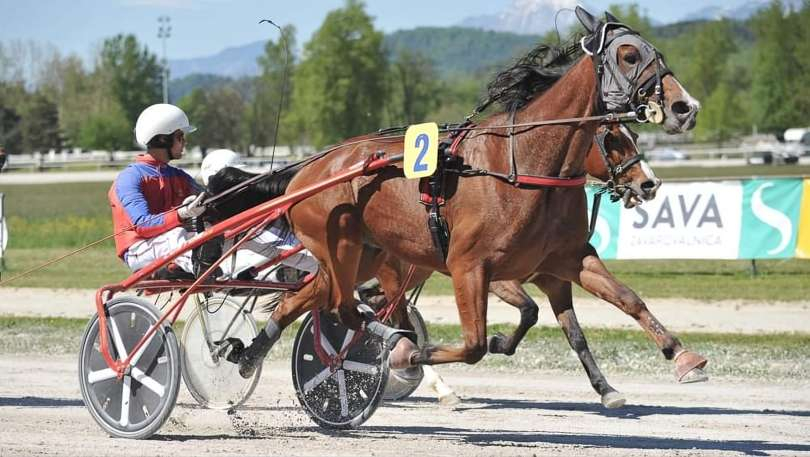 Prime MS na vajetih Mitje Slaviča je potolkel vso konkurenco. Foto arhiv KZS.