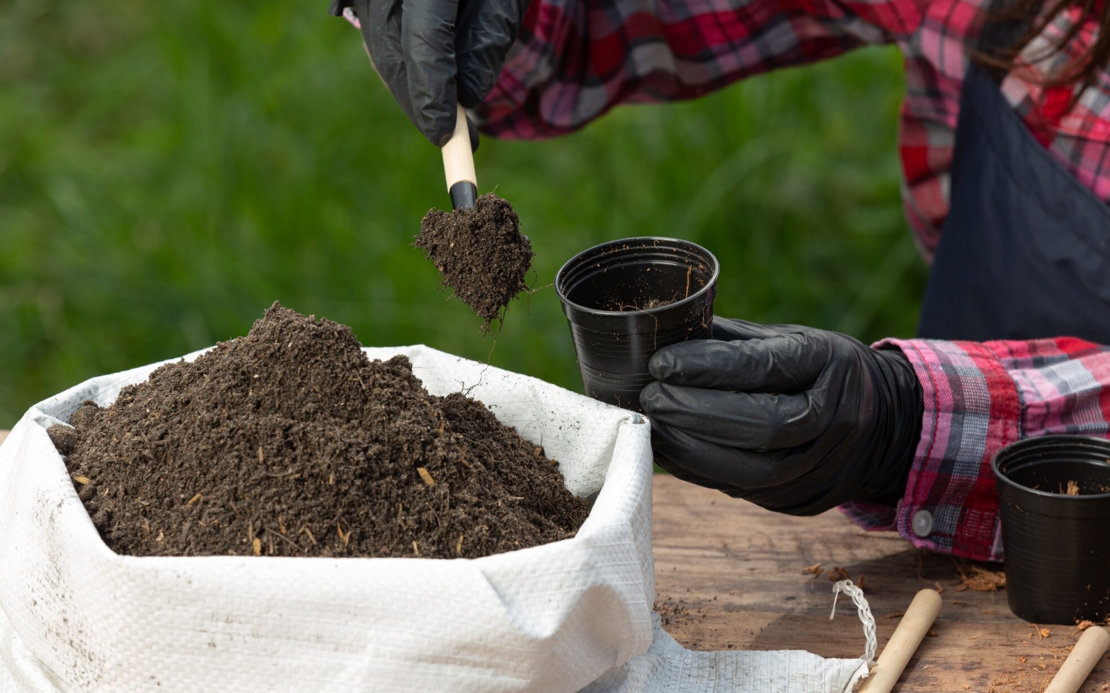 Fotografija je simbolična. Foto: freepik