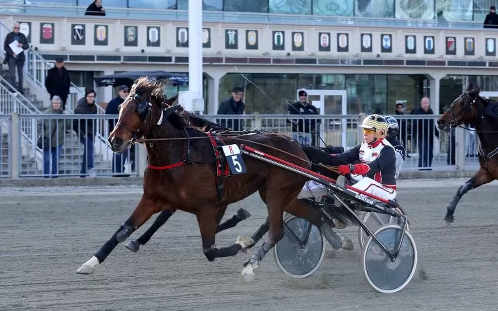 Great Pretender na vajetih Damjana Oražma na Dunaju. Foto: krieau.at