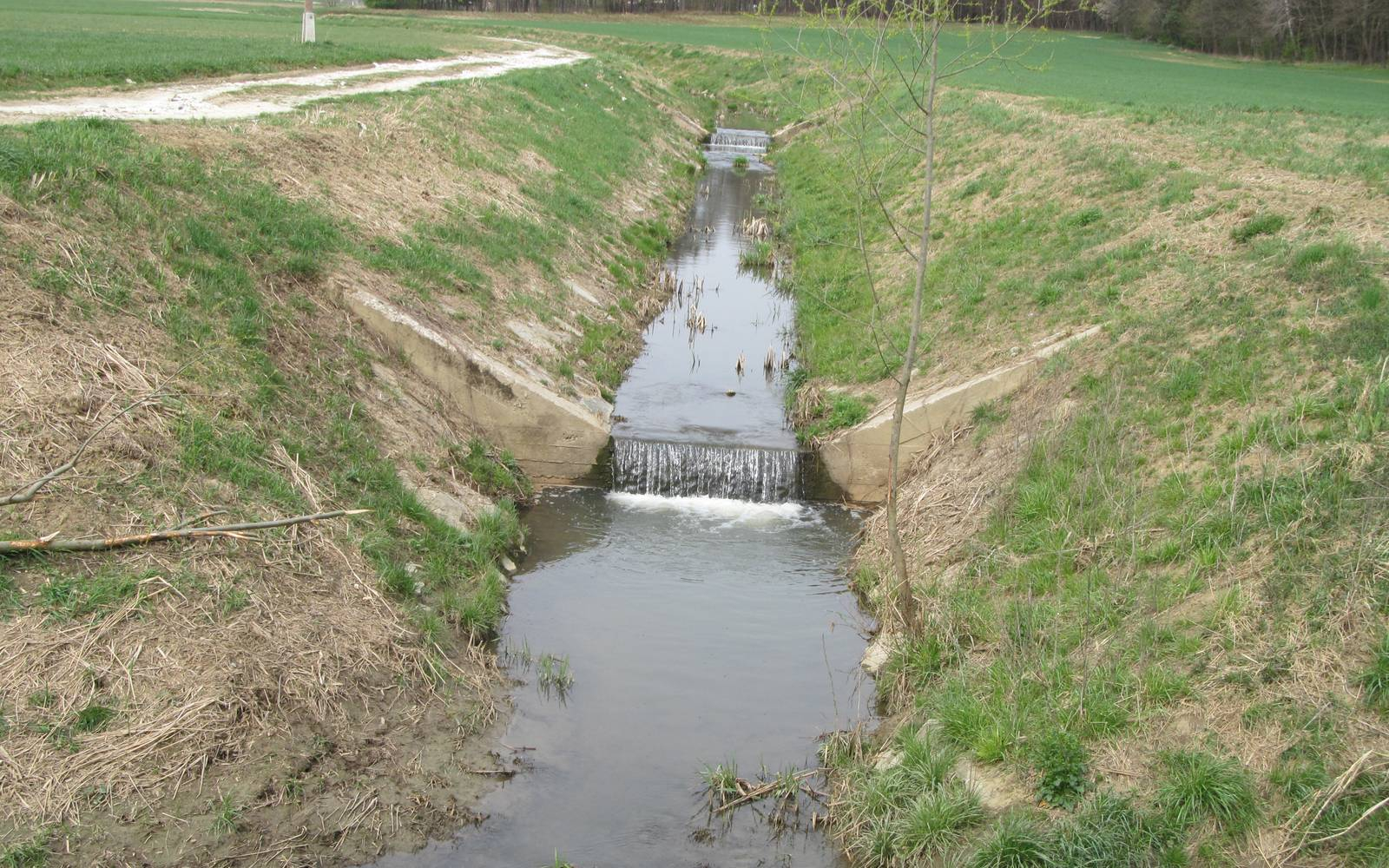 Kaj pa kritje za živali – goli del Ročice ob izlivu v Drvanjo pri Trebežu. Foto: Marjan Toš.